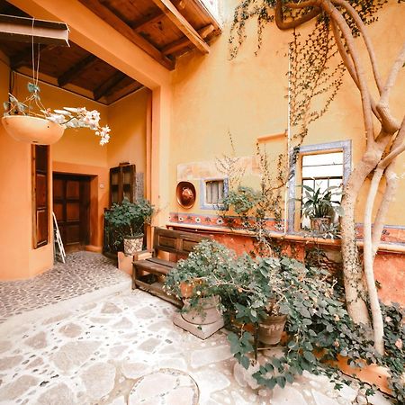 Hotel Casamia دولوريس إيدالغو المظهر الخارجي الصورة