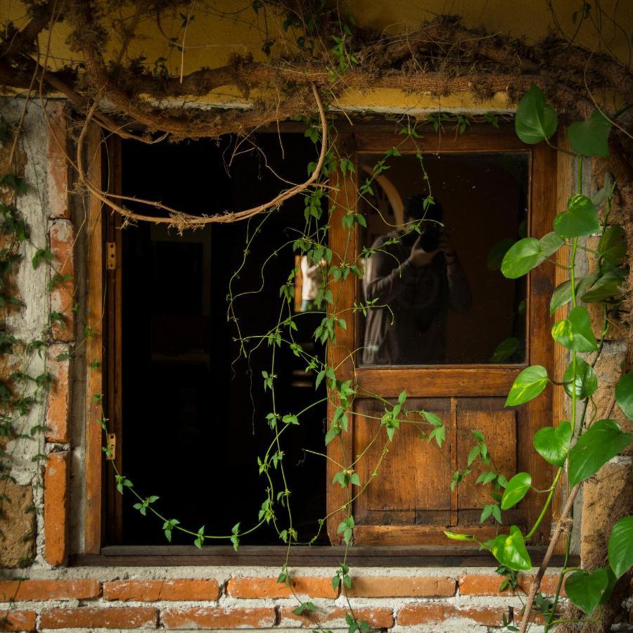 Hotel Casamia دولوريس إيدالغو المظهر الخارجي الصورة